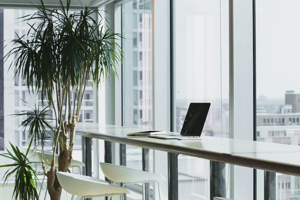 When Should You Hire a Fractional CFO?
